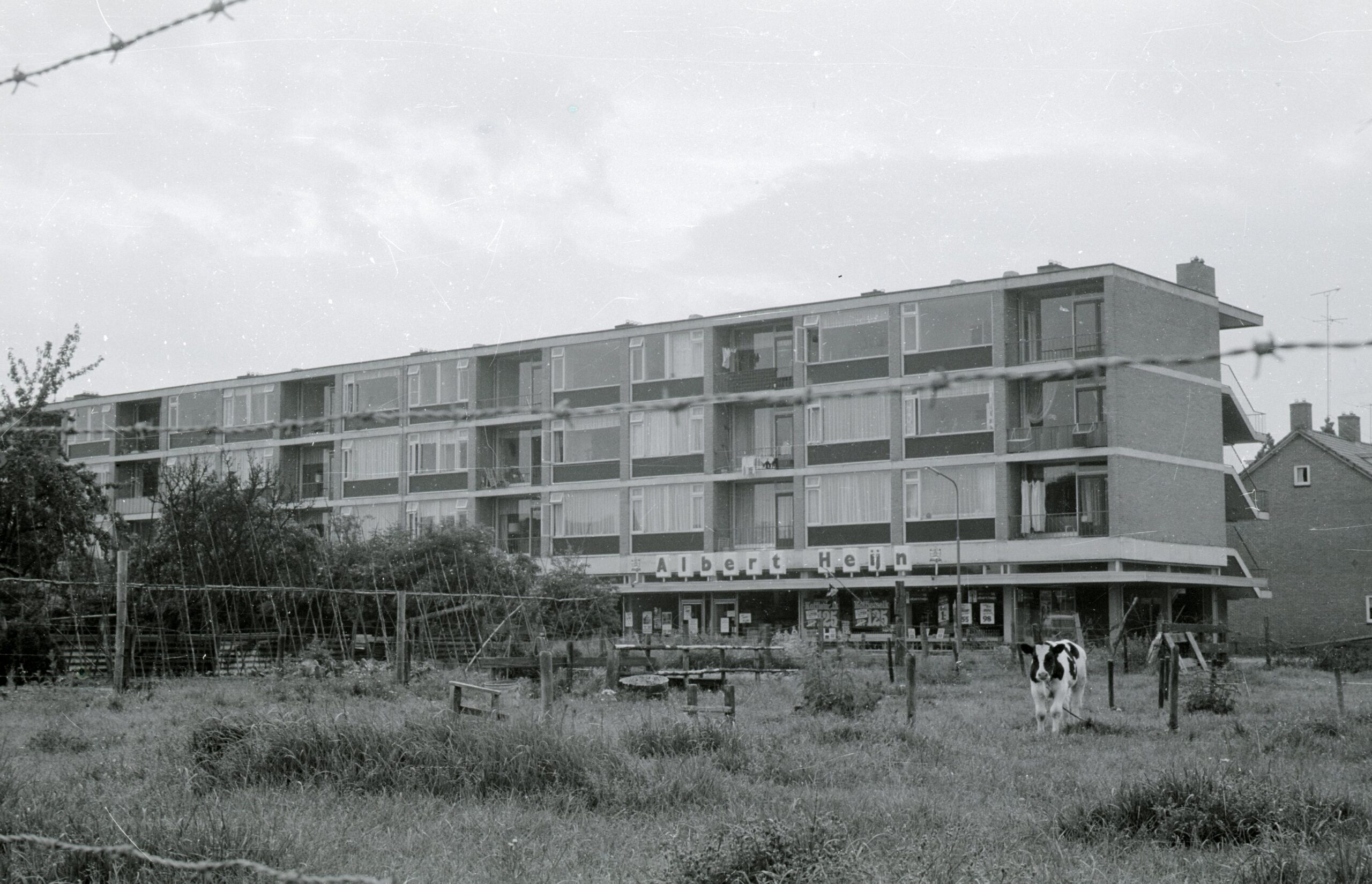 Huis van Renkum en plaatjes ruilen.