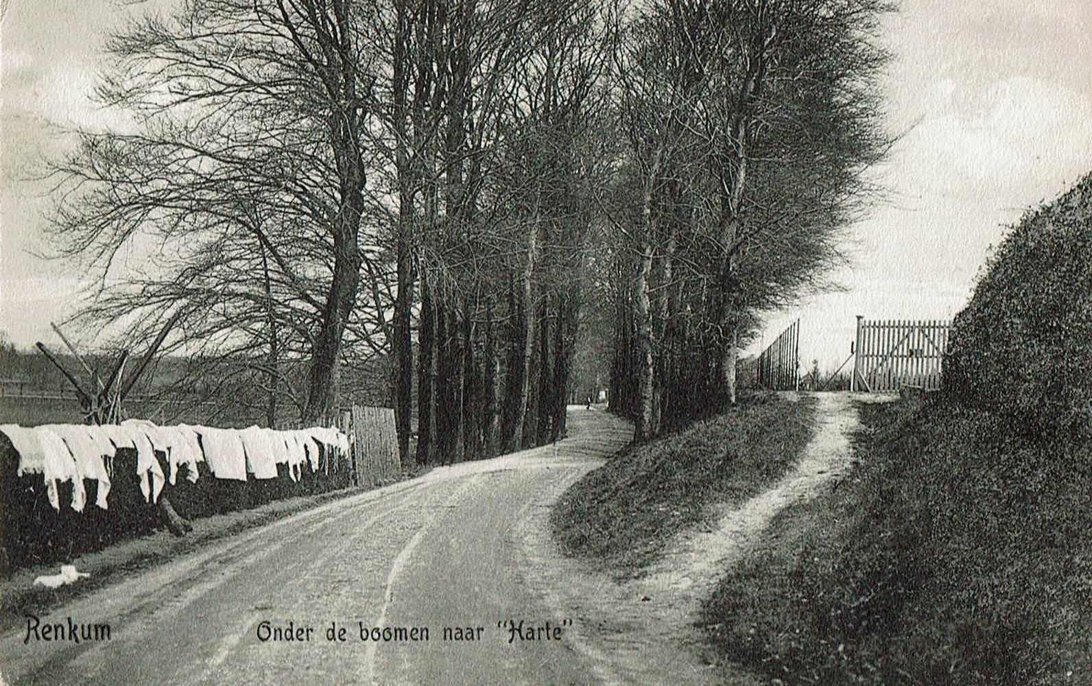 Nr 32 onder de Bomen