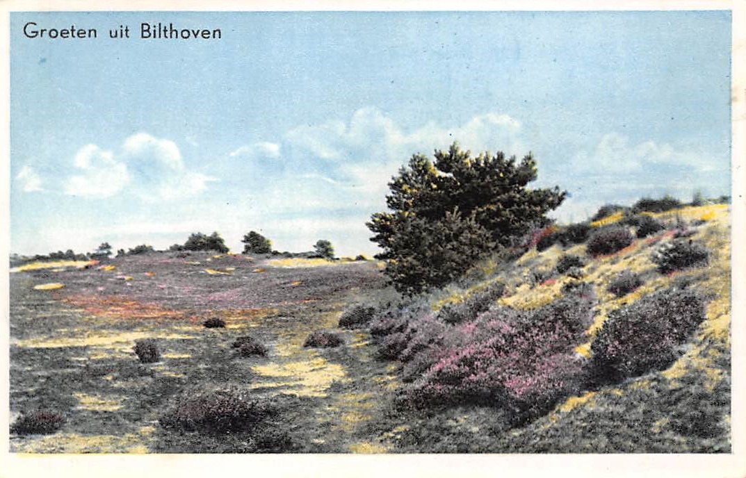 Groeten uit Renkum heide 2 bilthoven